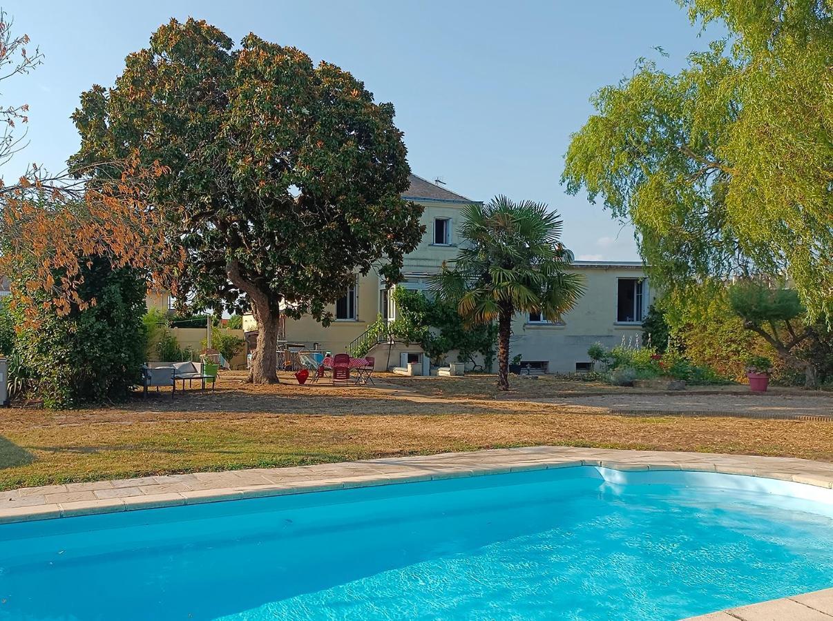 Le Magnolia, Chambre D'Hote Au Calme Saumur Zewnętrze zdjęcie